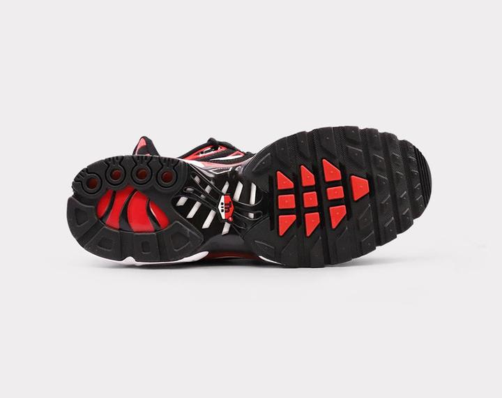 Actual product image Nike Air Max Plus (43)