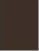 Actual product image Rimmel London Wonder'Freeze Brow Lamination Gel (004 Deep Brown)