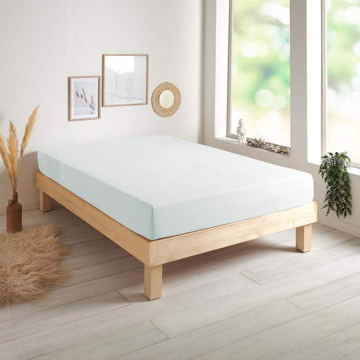 Immagine prodotto Traumschlaf Jersey-Elasthan Stretch (180 x 200 - 200 x 200 cm)