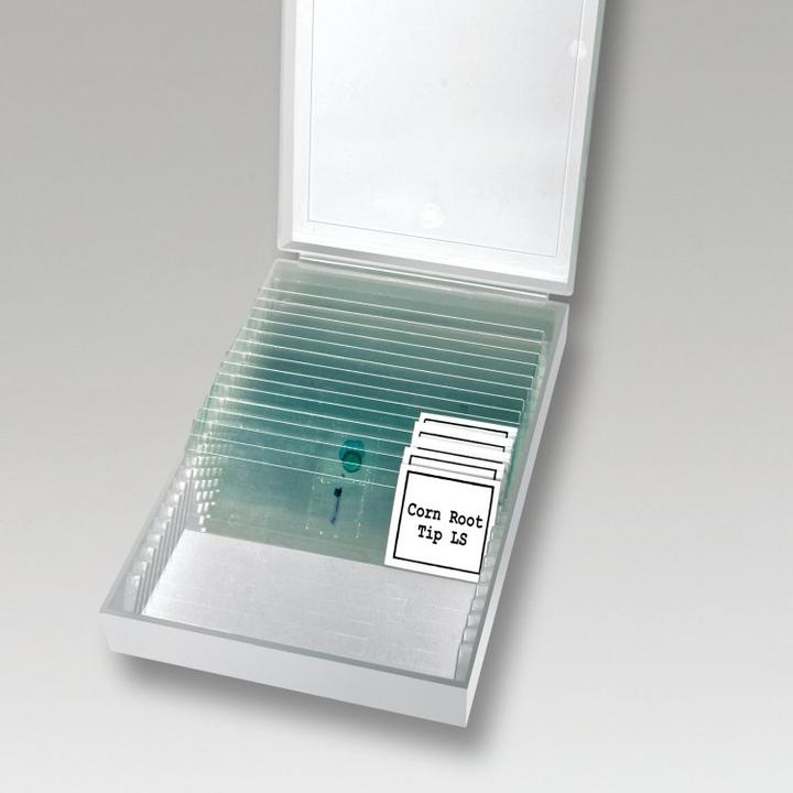 Produktbild Bresser LCD - Schülermikroskop 8.9 cm