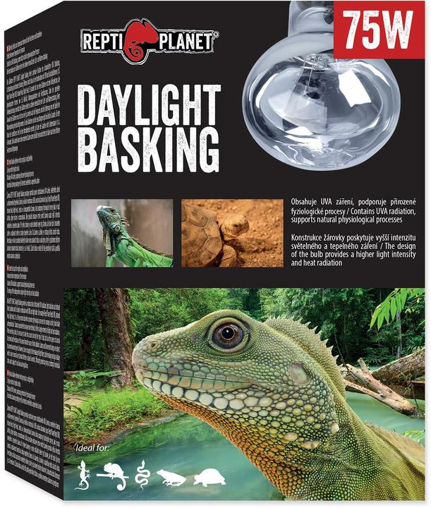 Image du produit Repti Planet Lumière du jour Basking Spot 75 W (UVA, UVB)