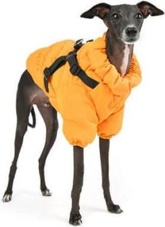 Immagine prodotto Puppia Maglia morbida (XL, Cappotto per cani)