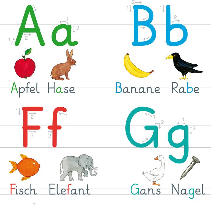 Produktbild Fels:Fragenbär-Lernposter: Mein grosses (Deutsch)