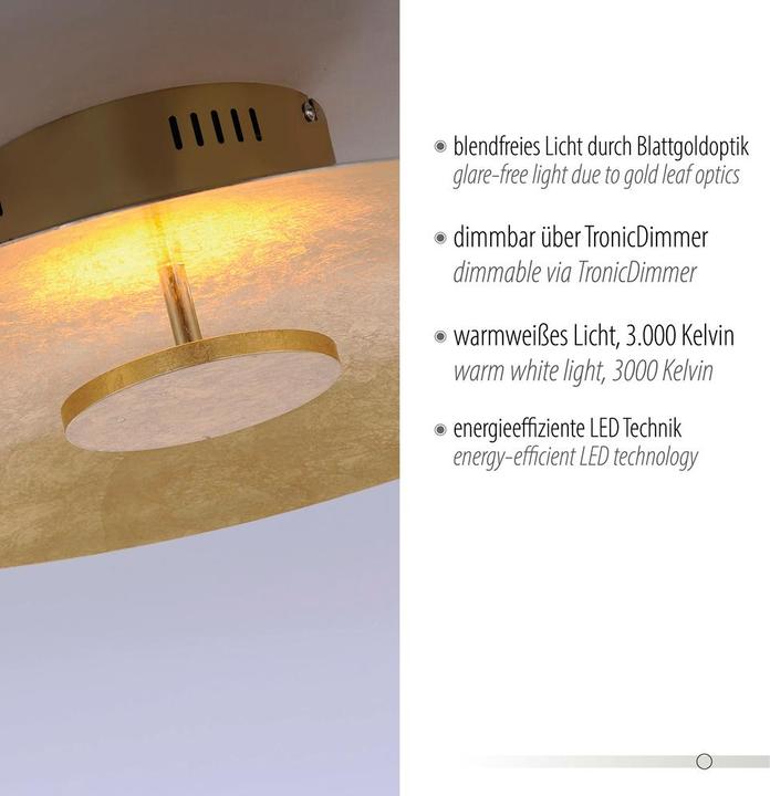 Actual product image Paul Neuhaus Plate (2875 lm)