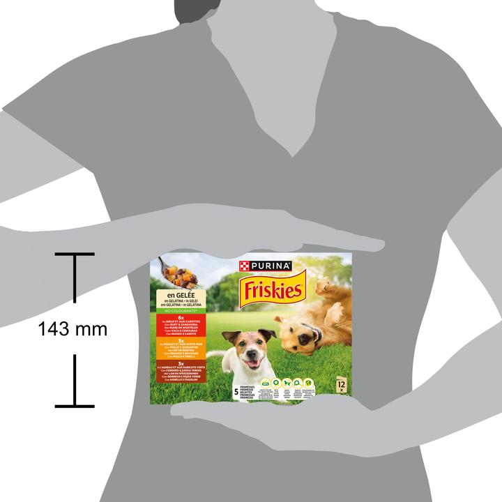 Immagine prodotto Friskies In gelatina (Adulto, 12 pz., 1160 g)
