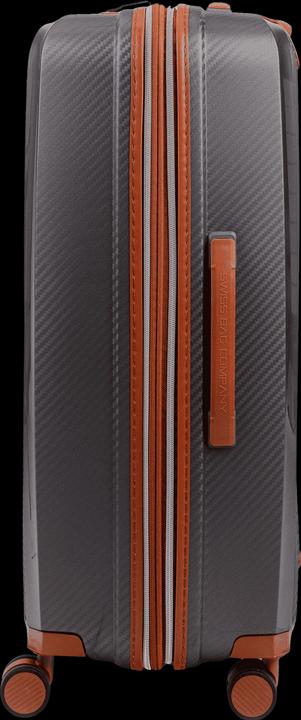 Actual product image Swissbags New Vision (94 l, L (90 - 115l))