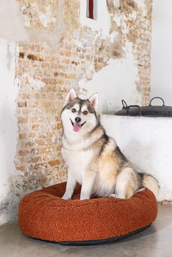 Image du produit Designed by Lotte Ribbed (Chien)