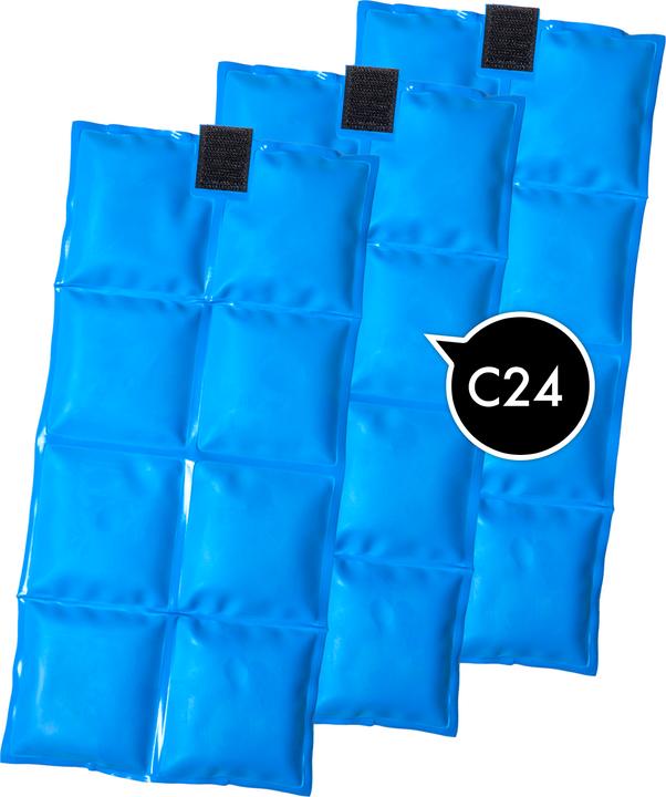 Actual product image Bertschat Kühlweste PRO (20)