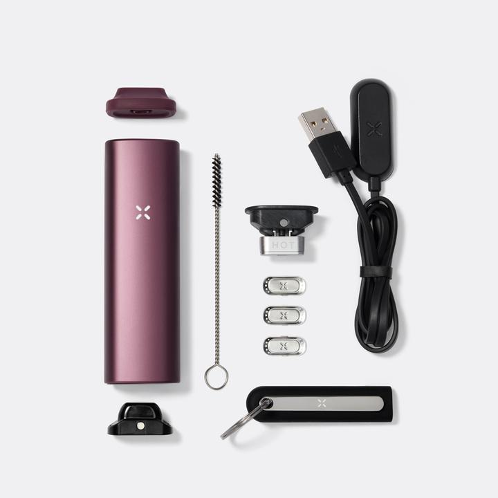 Produktbild Pax Plus Elderberrry Kit