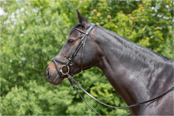 Immagine prodotto Kieffer Briglia Snaffle in cuoio Ultrasoft Tara