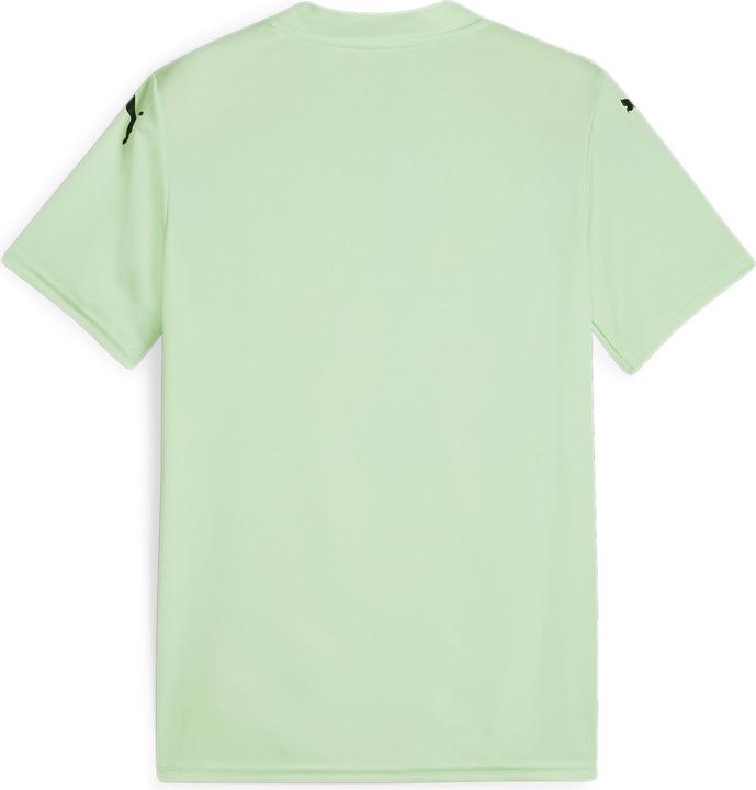 Image du produit Puma teamGLORY Jersey Jr (116)