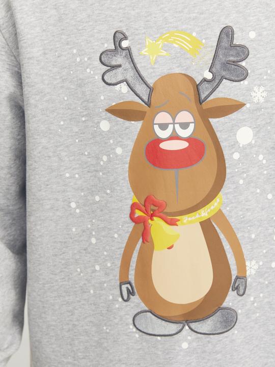 Image du produit Jack & Jones Xmas Jolly (L)