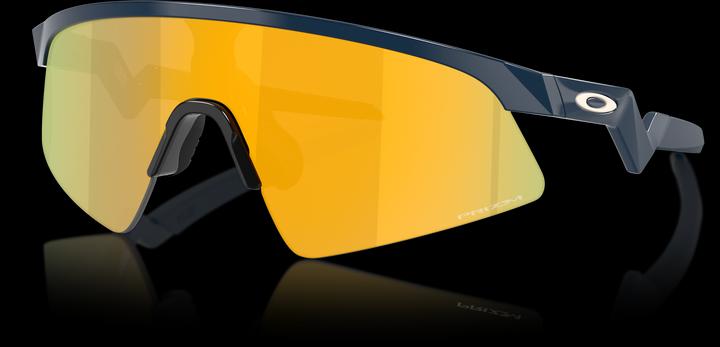 Actual product image Oakley Resistor Sweep