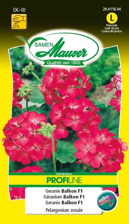 Samen Mauser Geranium Balkon F1 (Blumensamen)