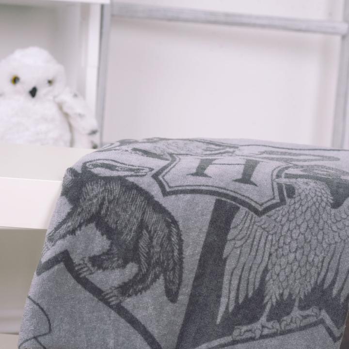 Immagine prodotto Herding Asciugamano in velluto Harry Potter grigio 70 x 140 cm (70 x 140 cm)