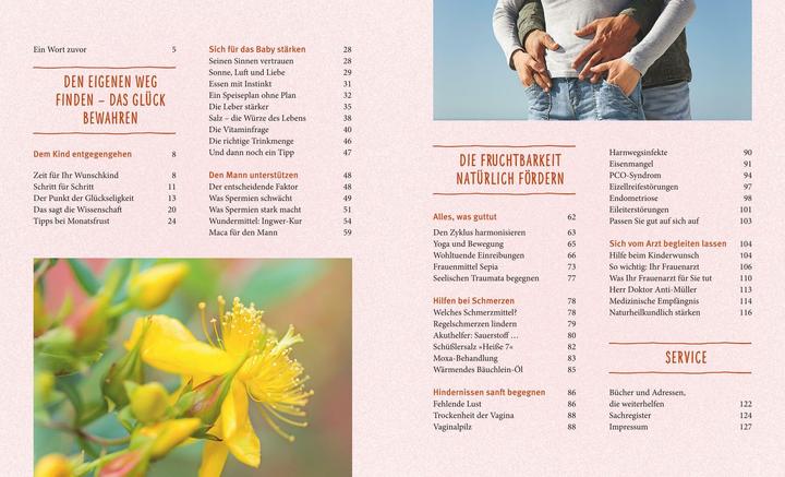 Actual product image Kinderwunsch (German, Birgit Delicate, 2015)