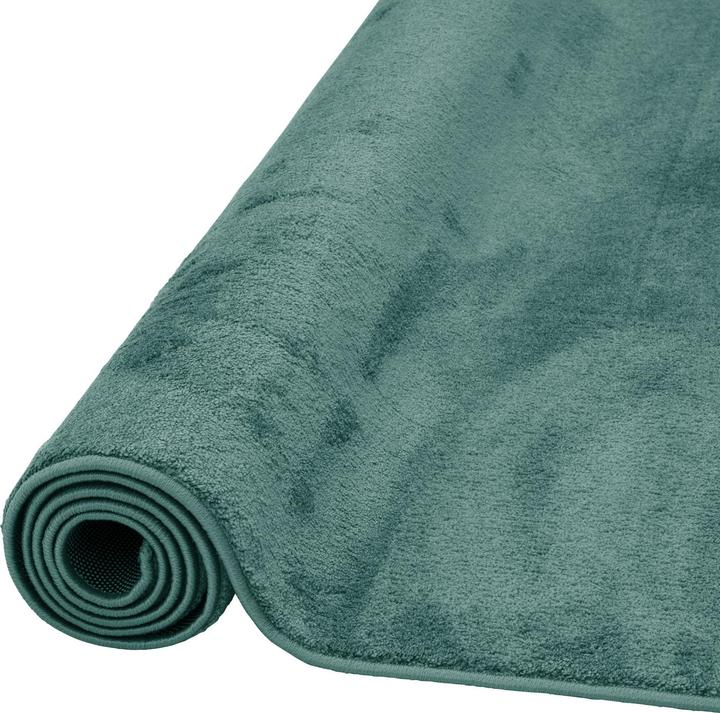 Image du produit Pergamon Luxe Super Soft Tapis à poils longs Melia (160 x 230 cm)
