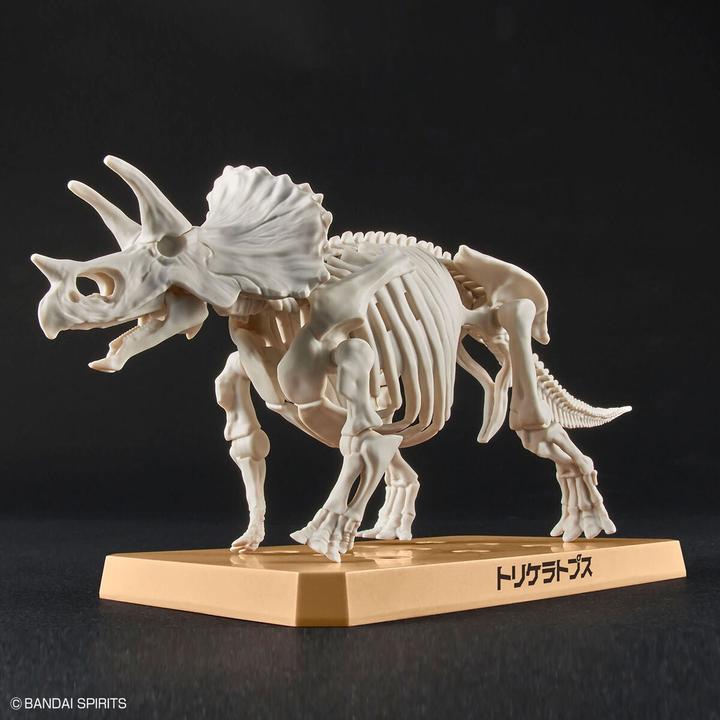 Actual product image Bandai Planosaurus - Triceratops
