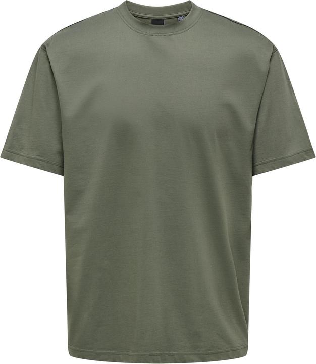 Gris Castor Gray