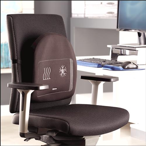 Image du produit Fellowes Support dorsal Professonal Series