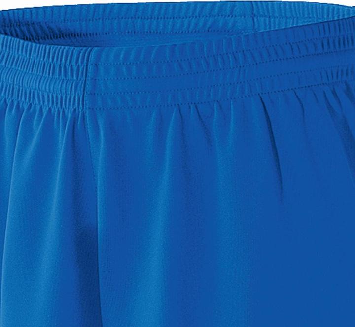 Actual product image Erima CELTA Short (5)