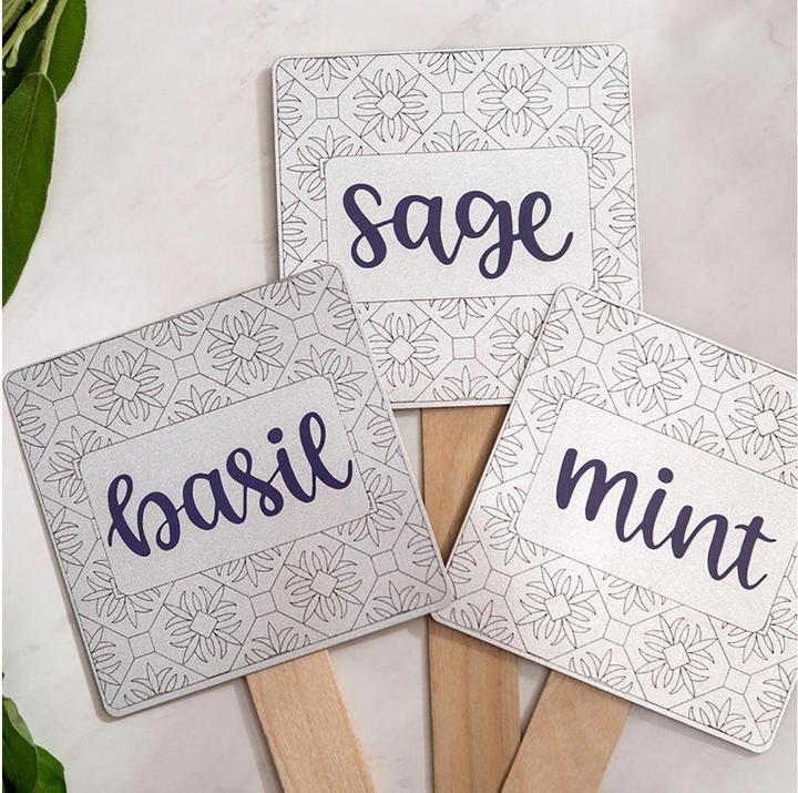 Image du produit Cricut Lame de rechange Broche à graver