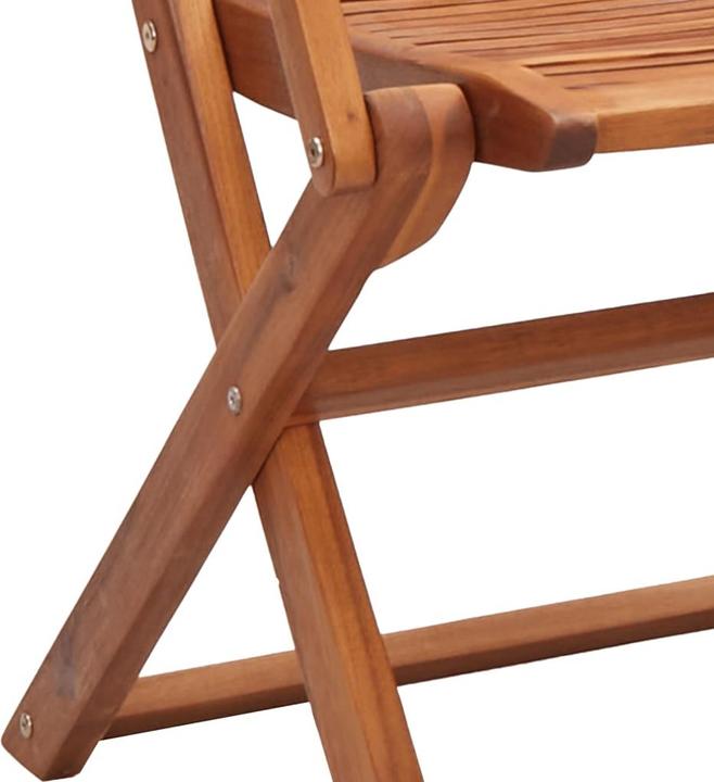 Image du produit VidaXL Chaises de jardin avec accoudoirs 2 pcs. Pliable Acacia