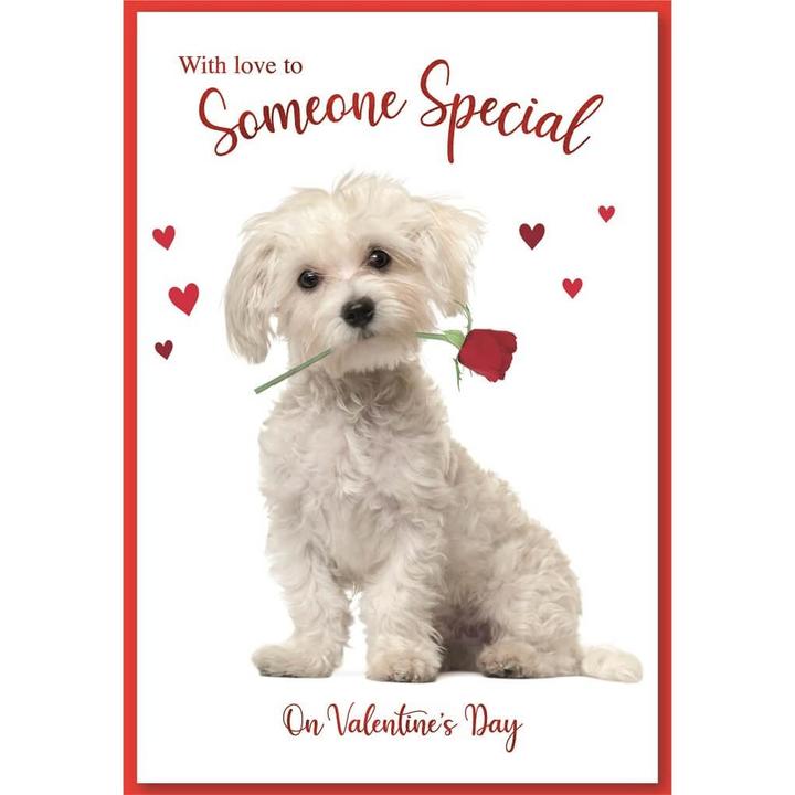 Produktbild Simon Elvin Welpe Grusskarte Valentinstag 6erPack (6 Stk.)