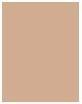Produktbild Revlon Colorstay Combination Oily Skin (310 Warm Golden)