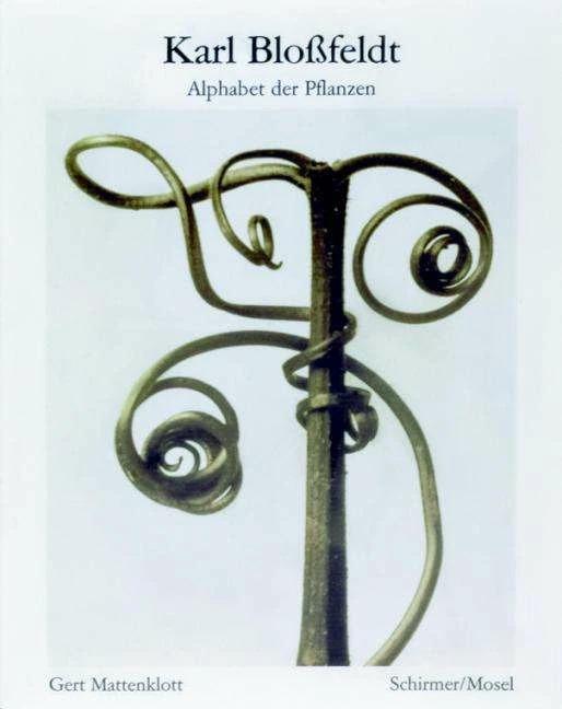 Actual product image Alphabet der Pflanzen (German, Charles Blossfeldt, 2020)