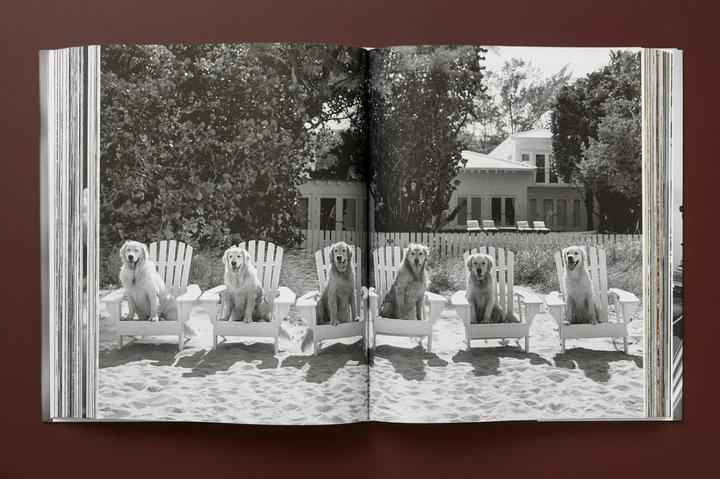 Produktbild Bruce Weber. The Golden Retriever Photographic Society (Deutsch, Französisch, Englisch, Jane Goodall, 2021)
