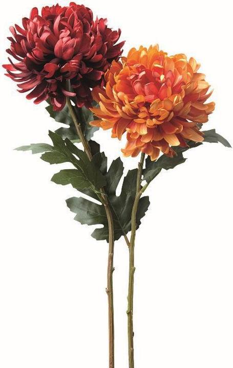 Actual product image Leonardo Chrysanthemum 72cm Fiore