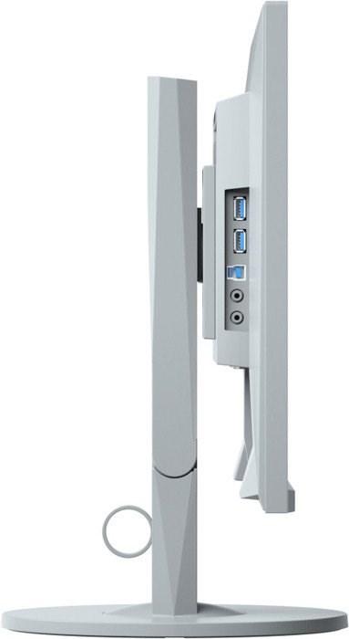 Immagine prodotto Eizo EV2450 FlexScan (1920 x 1080 pixel, 24")