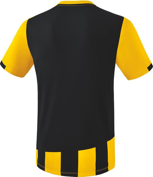 Actual product image Erima Siena 3.0 jersey (L)