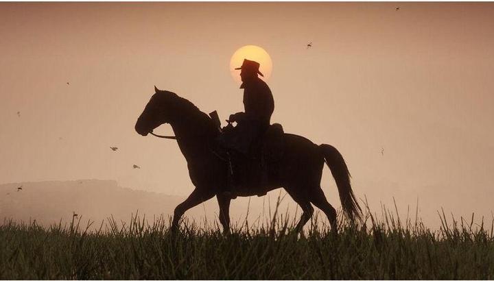 Actual product image Rockstar Red Dead Redemption 2 (PS4, DE)