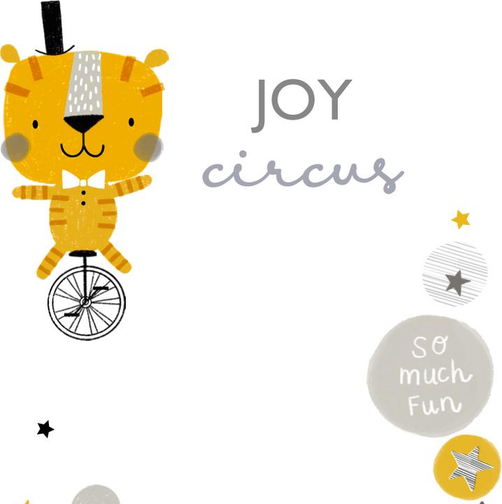 Actual product image Funnababy Sleeping Bag - Circus - Grey - 55 Cm (55 cm)
