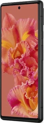 Image du produit Google Pixel 6 Pro (256 Go, Stormy Black, 6.70", SIM + eSIM, 50 Mpx, 5G)