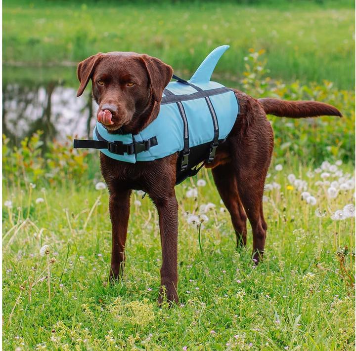 Actual product image Nobby Sharki (M, Dog life jacket)