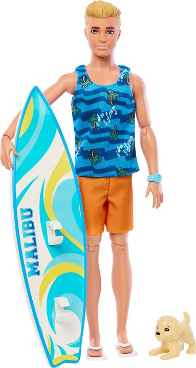 Actual product image Barbie Ken Surfer Doll & Accy