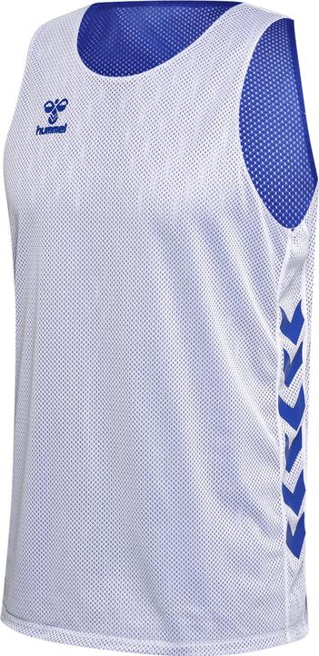 truebluewhite