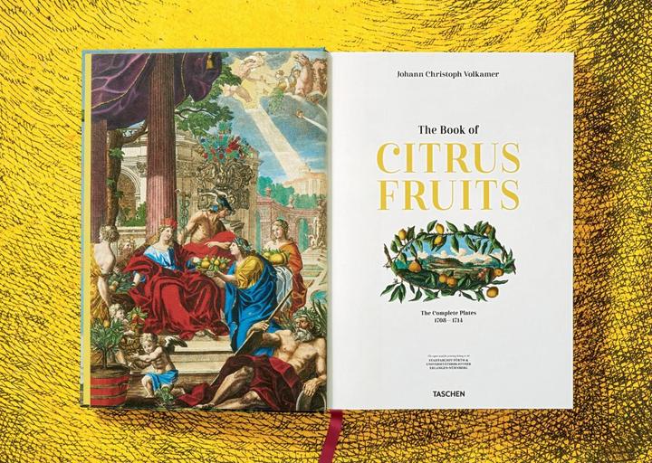 Image du produit J. C. Volkamer. The Book of Citrus Fruits (Allemand, Français, Anglais, Iris Lauterbach, 2020)