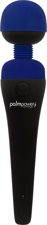 Produktbild Palmpower recharge