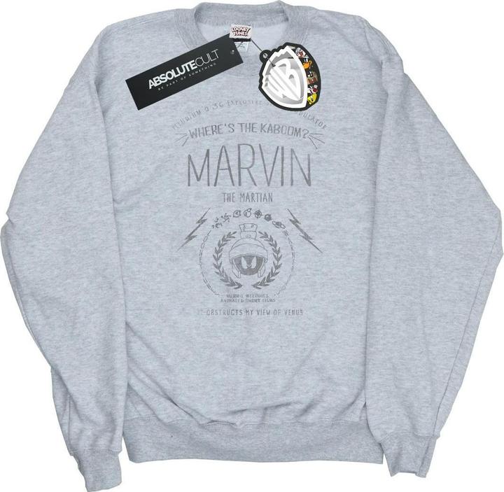 Looney Tunes Marvin The Martian Where's The Kaboom Sweatshirt