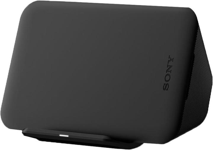 Sony Wch20 (9 W)