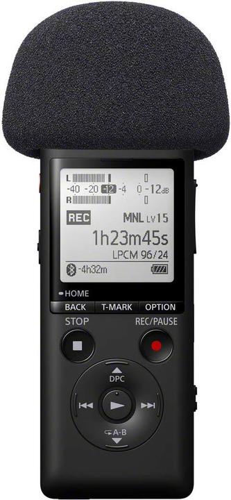 Actual product image Sony PCM-A10 (Handheld)