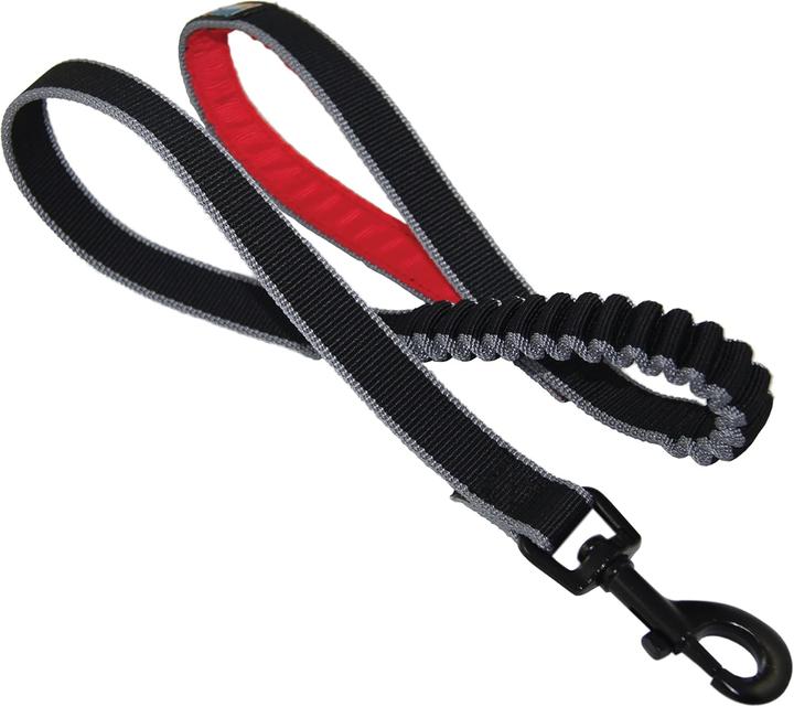 Immagine prodotto Kurgo Guinzaglio a molla (Cane, Jogging)