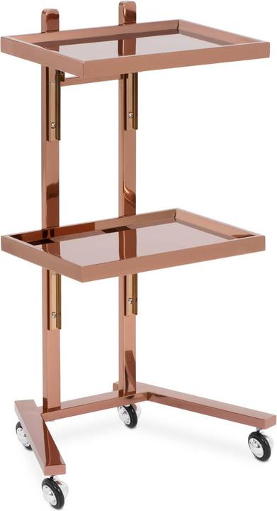 Immagine prodotto Physa Carrello per estetista - 2 ripiani pieghevoli - Fino a 10 kg - Oro rosa - Acciaio inox