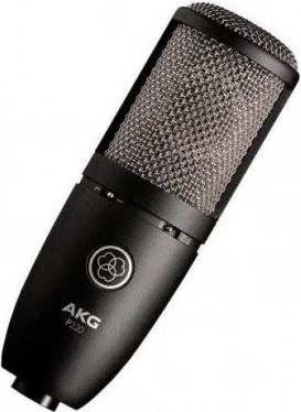 Actual product image AKG P220