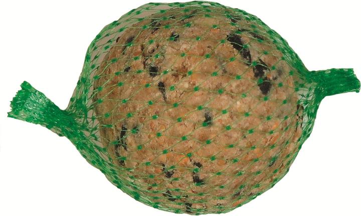 Immagine prodotto Versele Laga gnocco di formica gigante (1 x, 0.50 kg)