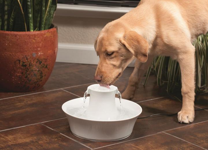 Produktbild Drinkwell PetSafe Avalon (2 l)